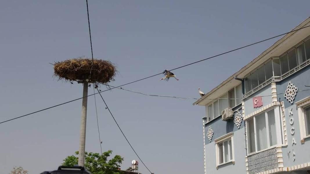 Yaren leylek ile eşi Nazlı'dan 10 gün sonra sevindiren haber! Su ve mineral kaybı ile enfeksiyon vardı 12